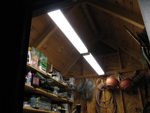 Newly installed overhead florescent light fixtures.