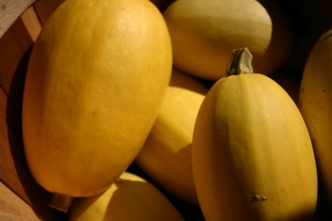 Spaghetti Squash.