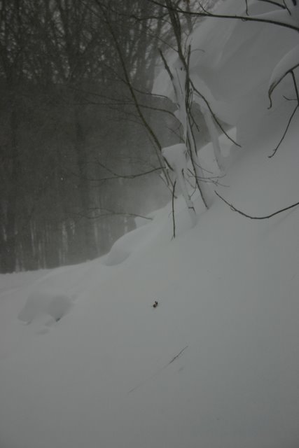 Wind creates snow spirits