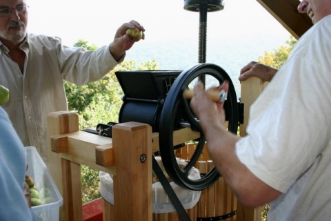 Dropping apples in the hopper