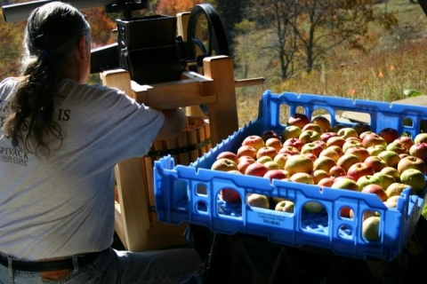 Cleaned & sorted apples