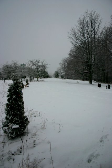 December 2010, monochromatic month