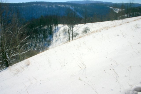 Southern view from the house