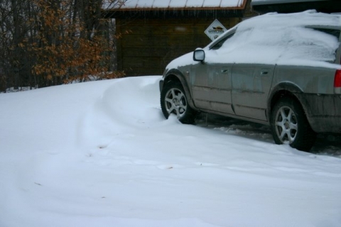 Nature says, you've driven enough