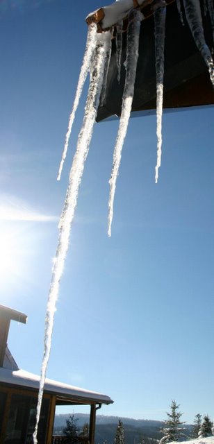 Suncicle. December 28