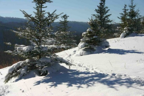A truly sunny day, December 28