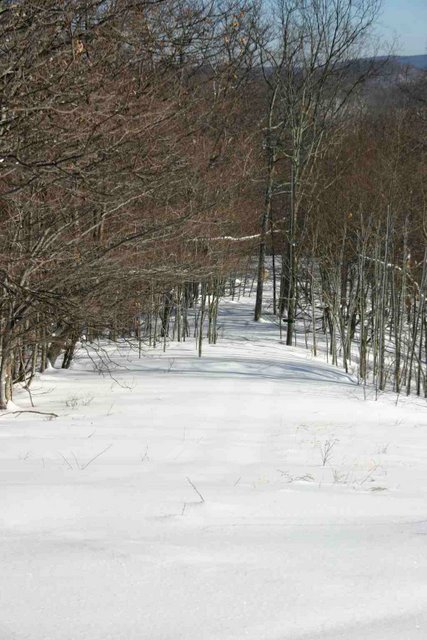 View from the house toward Wiley Way