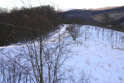 View from the gate toward garden enclosure