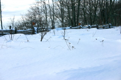 Fence along the Old Pike