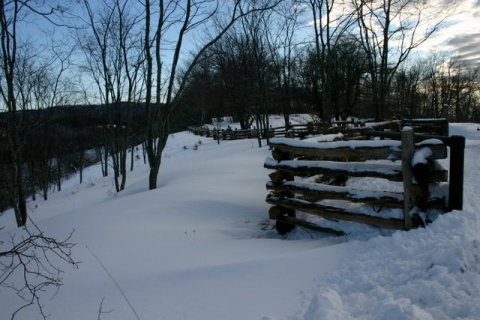 Fence along the Old Pike