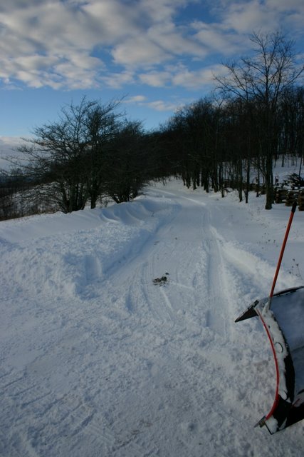 Old Pike, Bartow View. December 28