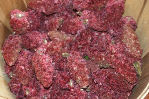 Staghorn sumac.