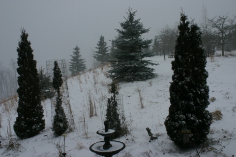 The "yard" at Brightside December 21.