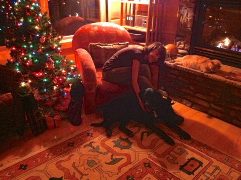 Maddy, Buddy & Chips December 23