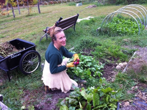 Pulling beets.