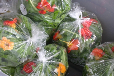 Arugula and nasturtiums.