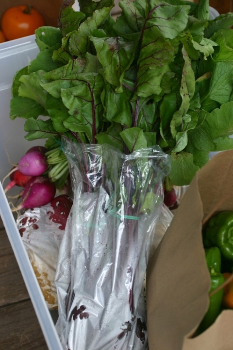 Prepared beets and radishes.