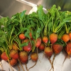 October 5 Golden Beets