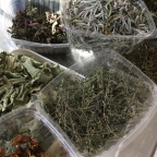 New Crop of Dried Herbs