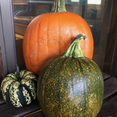 October 3.