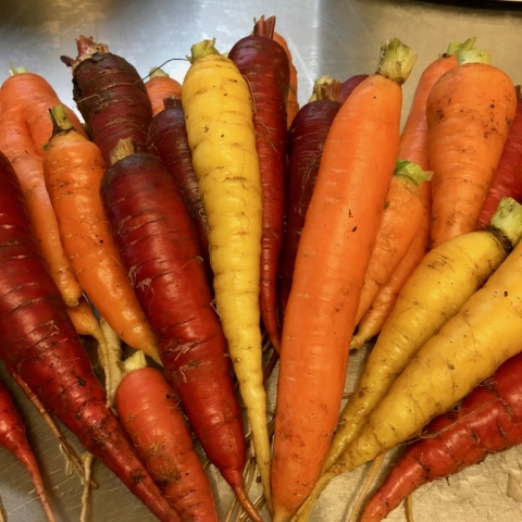 Oh so awesome carrots!