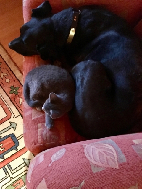 December 22. Rey and Buddy.