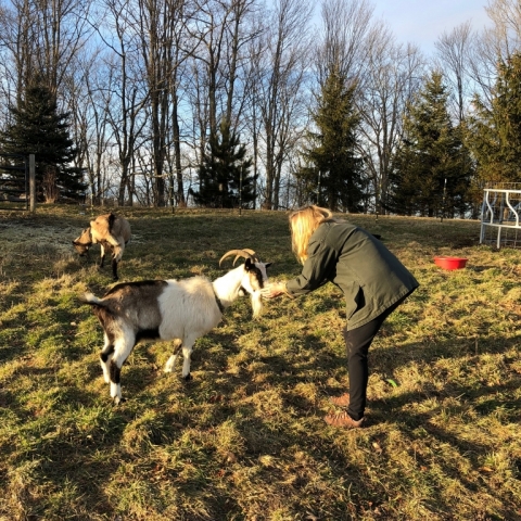 Dawn & Dora. December 31.