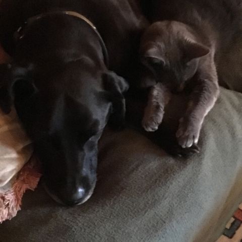 Buddy & Rey. December 29.