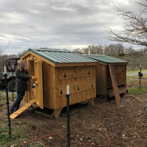 Yay! Our new, second coop is here. Now all the girls will be safe & warm this winter. 