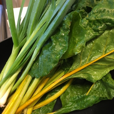 Green onions & Swiss chard. October 3.