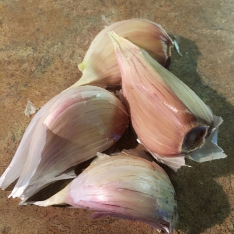 Yay! Garlic!
