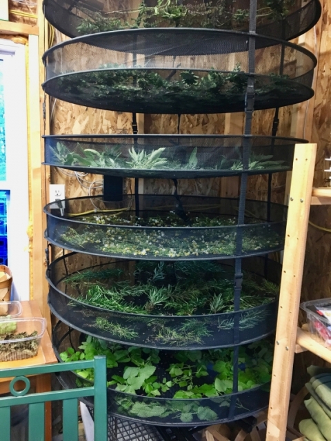 Another full drying rack.