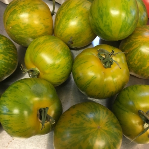 September 24. Green Zebra tomatoes.