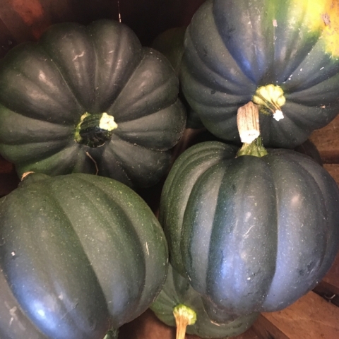 Acorn squash.