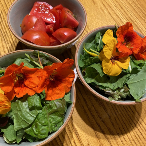 Garden treats October 27.