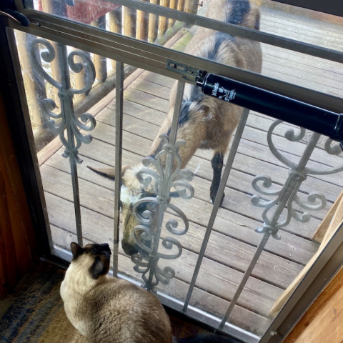 Miss Clyde makes a surprise visit and greets Leia.