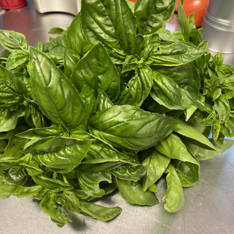 Basil.
