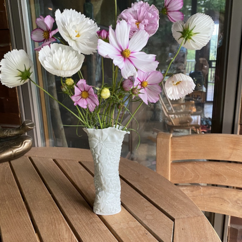 Cosmos September 15.