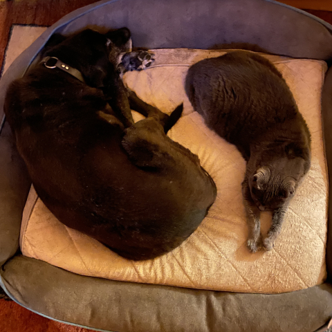 Buddy and Rey.