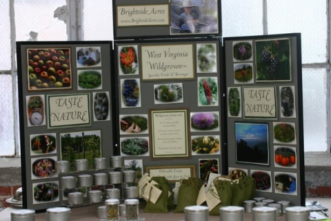 Berkeley Springs Display