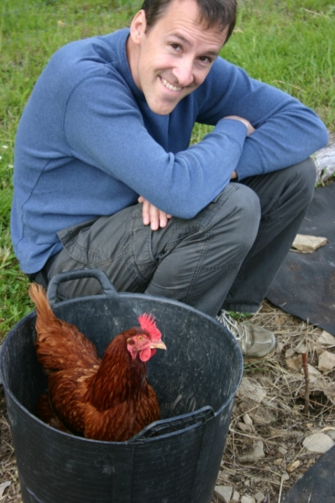 Bucket o'chicken. David & Stickerz.