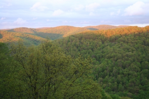 View from the deck at Brightside.