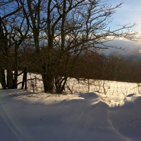 Early March snowfall.