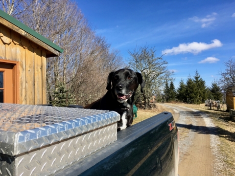 February 20: The sudden feeling of Spring!