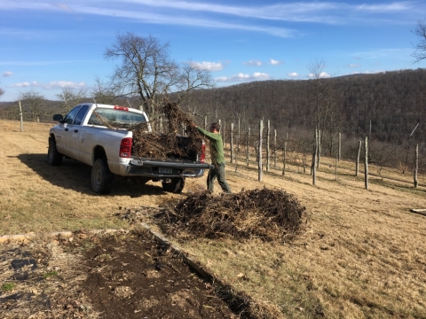 Garden clean-up.