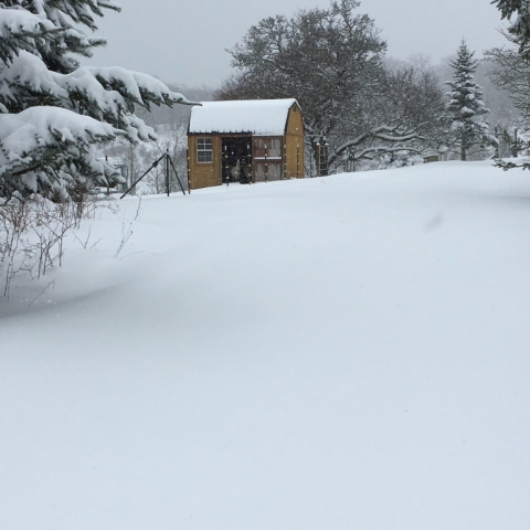 March 21: And, it's Winter again! A foot of snow today.