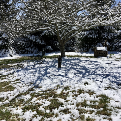 April 15.
