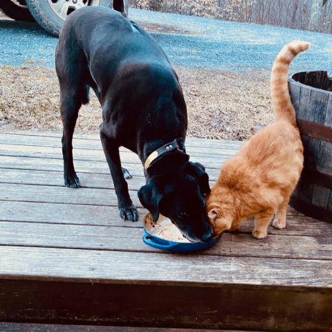 Buddy and Tom Fleming Esq. March 10.