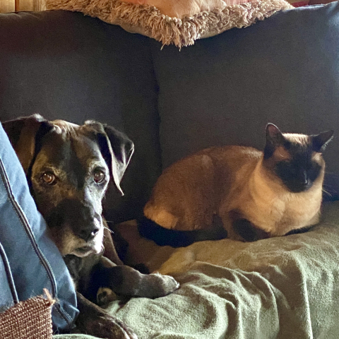 March 2. Buddy and Leia.