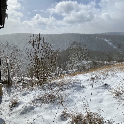 March 14. Biggest snow of the season...very small.